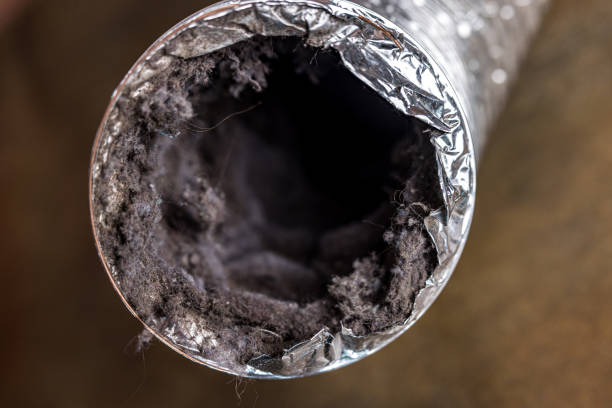 Best Air Vent Cleaning Services  in Brandywine, MD